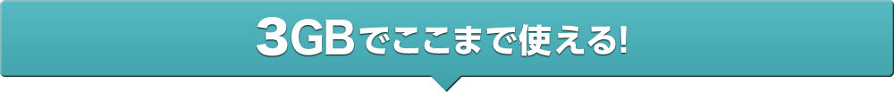 1GBでここまで使える！