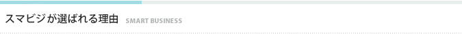 スマビジが選ばれる理由